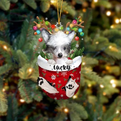 Miniatura 51 de Adorno de Navidad personalizado para perro Airedale Terrier en bolsillo de nieve, adorno para árbol de Navidad, idea de regalo para amantes