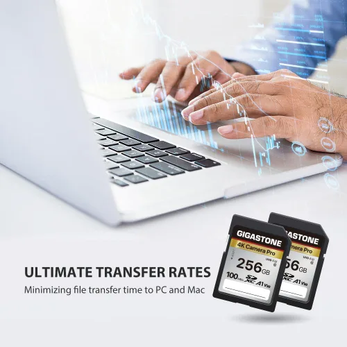 Miniatura 5 de Recuperación de datos de 5 años: tarjeta SD GIGASTONE de 256 GB, cámara 4K Pro, tarjeta de memoria A1 V30 SDXC 4K UHD Video compatible con cámara