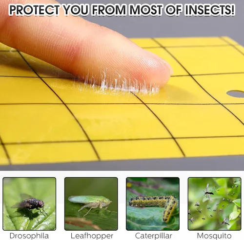 Miniatura 4 de Qualirey 300 Trampa Adhesiva para Mosquitos 3 x 5'' Trampa Adhesiva de Doble Cara para Moscas de la Fruta con Atadura para Planta para Insectos