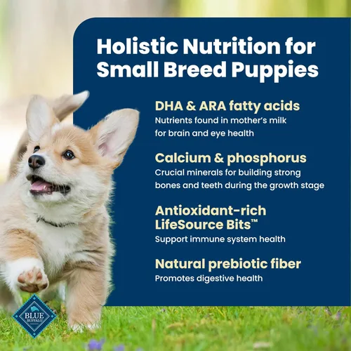 Miniatura 3 de Blue Buffalo Life Protection Formula - Alimento seco para cachorros de raza pequeña con DHA, nutrientes vitales y antioxidantes, hecho