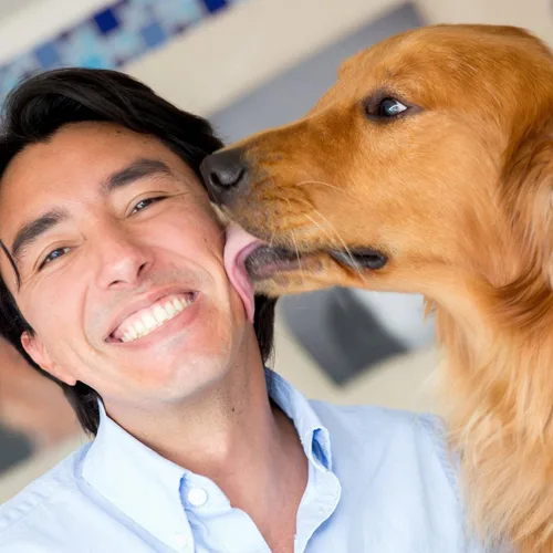 Miniatura 9 de Teamoy Pañales Envolventes Reutilizables para Perros Machos, Banda Lavable para el Vientre para Cachorros Paquete de 3