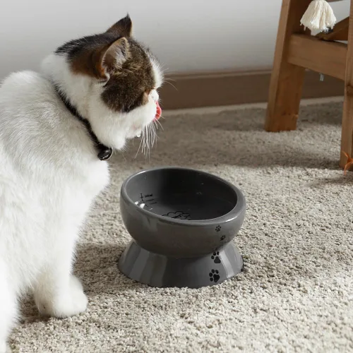Miniatura 7 de Y YHY Cuenco elevado para comida para gatos, cuenco elevado para alimentos y agua para mascotas, cerámica, 15 onzas Gris