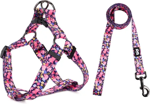 Miniatura 22 de QQPETS Juego de correa de arnés para perro, ajustable, resistente, sin tirones, arnés halter para perros de razas pequeñas, medianas y grandes, clip