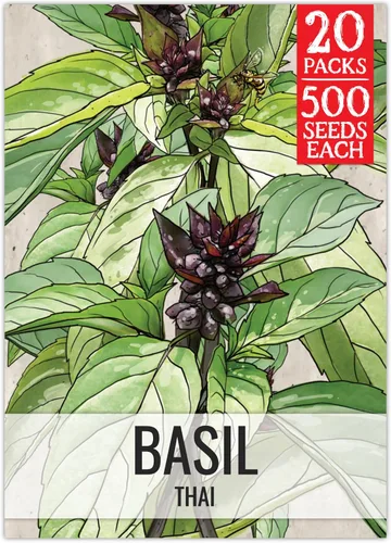 Miniatura 36 de Seed Needs Semillas de albahaca para plantar hierbas de albahaca tailandesa, sin OMG y semillas de hierbas sin tratar para cultivar un jardín