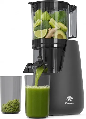 Miniatura 9 de Floisdace J8 Exprimidor de prensa en frío, máquinas exprimidoras de canal de alimentación extra ancha de 6.5 pulgadas, máquinas exprimidoras lentas