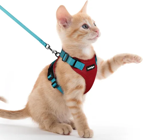 Miniatura 91 de rabbitgoo Juego de arnés y correa para gatos, arnés a prueba de escapes para paseos seguros al aire libre, chaleco suave transpirable ajustable
