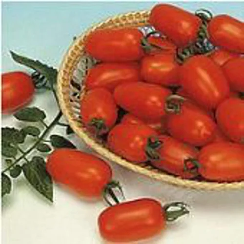 Semillas de tomate Juliet (((paquete de 100 semillas))) (más reliquia, sin OMG, vegetales, frutas, hierbas, semillas de jardín de flores en Seed