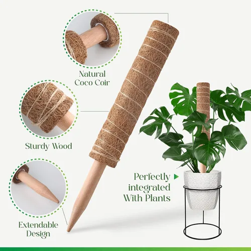 Miniatura 5 de Pisol Poste de musgo para plantas Monstera, soporte extensible, estacas para plantas en maceta de interior, enrejado de poste de fibra de coco
