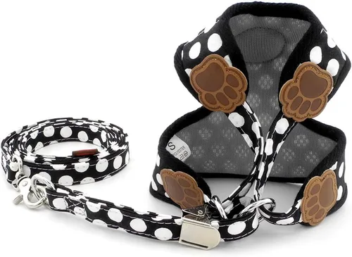 Miniatura 2 de SMALLLEE_Lucky_Store - Nuevo chaleco de nailon de malla suave, Arnés para mascotas, gatos, perros chicos o medianos, Juego de correa para perro