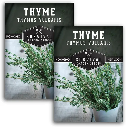 Miniatura 10 de Semillas de tomillo para plantar en interiores o exteriores, semillas de tomillo inglés (Thymus Vulgaris) para jardines de hierbas del hogar