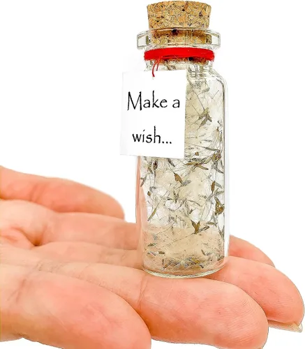 Miniatura 14 de Kseniya Revta Idea de regalo inspiradora con mensaje en una botella - Regalos elegantes para amigos y familia - Regalos únicos para novio y novia