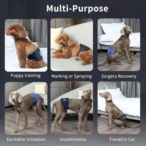 Miniatura 3 de JoyDaog Bandas reutilizables para el vientre para perros machos Pañales, paquete de 5 pañales lavables de primera calidad para perros machos