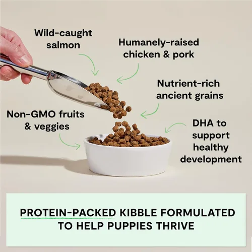 Miniatura 3 de Open Farm, Alimento seco para cachorros con granos antiguos, rico en proteínas y nutrientes, 90% de proteína animal mezclada con frutas, verduras