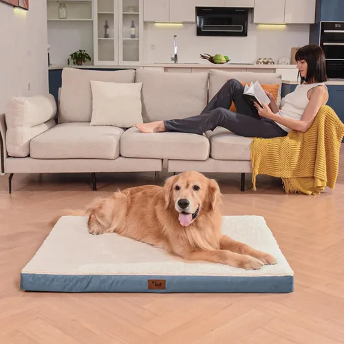 Miniatura 6 de Cama ortopédica de felpa para perros y cachorros medianos, camas impermeables para perros de 30 x 20 pulgadas con funda extraíble lavable, tapete
