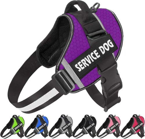 Miniatura 10 de JSXD - Arnés para perro, sin tirones, con asa ajustable, para exteriores, chaleco de nailon reflectante 3M, fácil control del perro, para perros