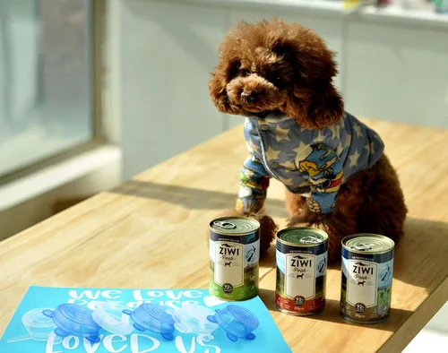 Miniatura 3 de COMTIM Tapas de latas de comida para mascotas, tapas elásticas de silicona para comida de perros y gatos, reutilizables, expandibles