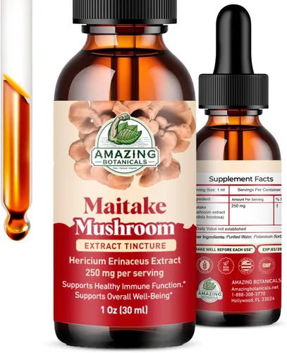 Miniatura 11 de Tónico orgánico Super Shrooms 6 en 1 para el bienestar de hongos – 250 mg por porción de Chaga, melena de león, Reishi, Shiitake, Cordyceps, cola