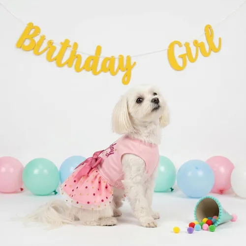 Miniatura 8 de Vestido de Tul para Perros Fitwarm Cumpleaños Niña, Ropa para Perros Pequeños Niña, Ropa para Gatos, Rosa, Pequeño