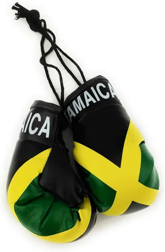 Miniatura 43 de Mini guantes de boxeo para colgar en el espejo del coche (Camerún)