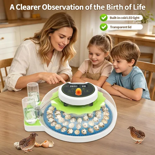 Miniatura 4 de Incubadora de huevos de codorniz para incubar 60 huevos de codorniz con giro automático de huevos y control de humedad, codornices pequeñas