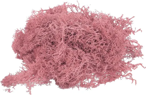 Miniatura 8 de MECCANIXITY Musgo artificial de musgo de 3.5 onzas, musgo artificial preservado natural para manualidades, manualidades, proyectos florales, Negro