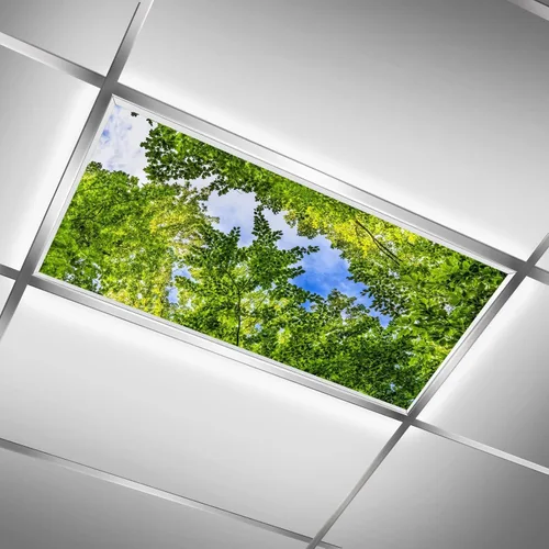 Miniatura 29 de Inserto de Cubierta de Luz de Techo Suspendido 4' x 2' pies (Naturaleza Bosque Hojas de Bambú Sol Verde) - Cubierta de Luz Fluorescente Reduce