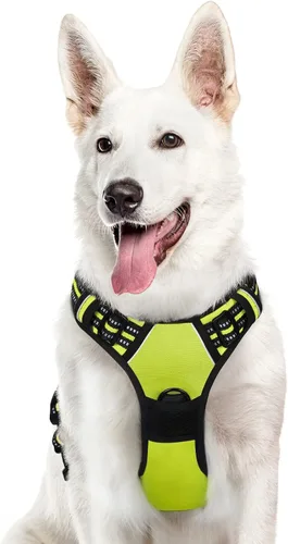 Miniatura 79 de Eagloo Arnés para perro pequeño, sin tirones, chaleco de servicio con tiras reflectantes y asa de control, ajustable y cómodo para caminar, arnés