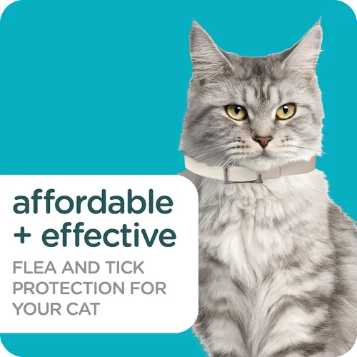 Miniatura 4 de Sergeant's Guardian Pro - Collar para gatos pulgas y garrapatas, 1 unidad