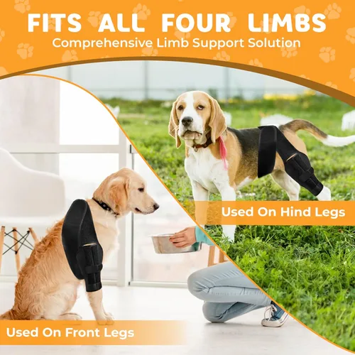 Miniatura 6 de Rodillera para perro para luxación de rótula, ligamento cruzado anterior o ligamento cruzado, osteoartritis, displasia de cadera o alivio del dolor