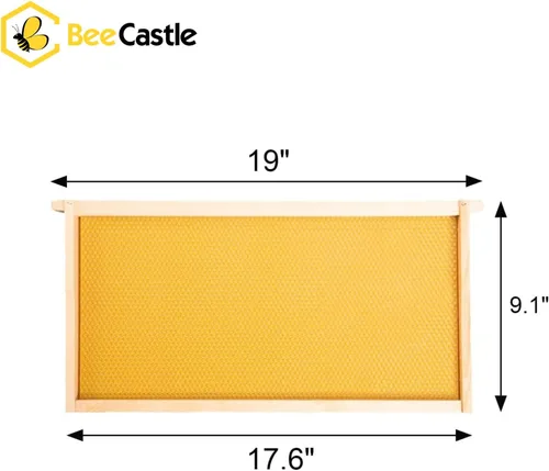Miniatura 3 de BeeCastle Paquete de 10 marcos de colmena y bases de cera para colmenas profundas de cría con panales, marcos de colmena de abejas de madera y bases