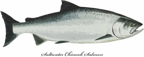 Miniatura 3 de CafePress Chinook King Salmon Mug 11 oz (325 ml) Ceramic Coffee Mug