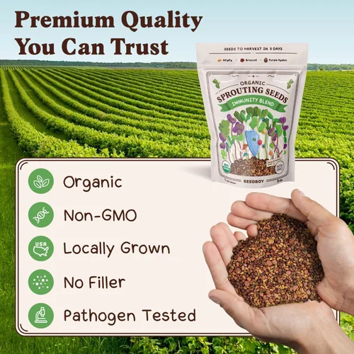 Miniatura 6 de Seedboy Semillas Germinativas Orgánicas Sin OMG, Refuerzo del Sistema Inmunológico - Mezcla de Microverdes Cultivados en EE.UU. con Brócoli, Rábano