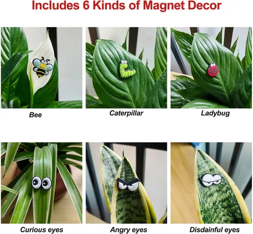 Miniatura 4 de HOMDSG Imanes de plantas lindos con ojos para plantas en macetas, pines de imán seguros para plantas, únicos para amantes de las plantas, accesorios