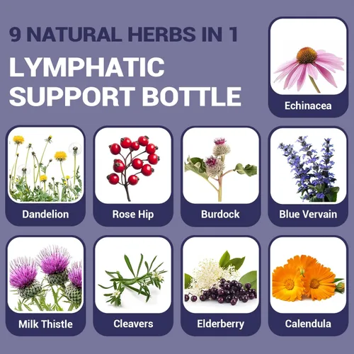 Miniatura 2 de Gotas de drenaje linfático de 2 fl oz (2.0 fl oz), mezcla natural con saúco, raíz de bardana, diente de león y equinácea Herbal Support