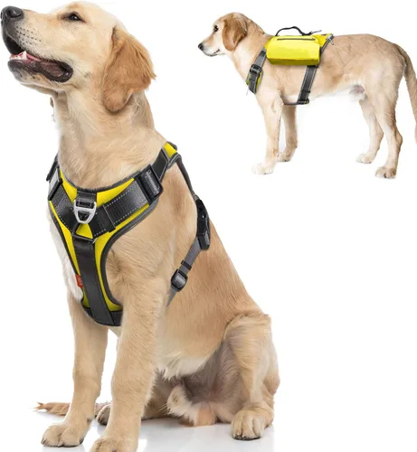 Miniatura 14 de Fida - Arnés resistente para perro, pechera para viaje, campamento o senderismo. Para perro pequeño, mediano y grande, con 2 bolsillos laterales