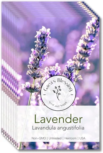 Miniatura 3 de Gaea's Blessing Semillas – Semillas de lavanda inglesa – Semillas tradicionales sin OMG con instrucciones fáciles de seguir – Vera True Lavender