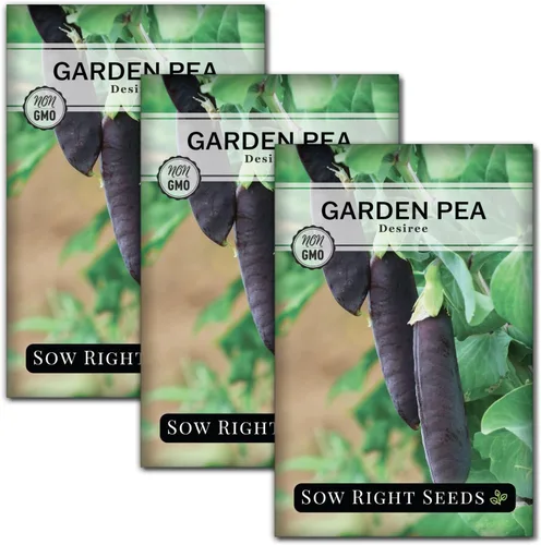 Miniatura 7 de Sow Right Seeds - Semillas de guisantes de nieve Desiree para plantar - Paquete de reliquia sin OMG con instrucciones para plantar un huerto