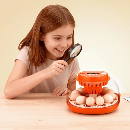 Miniatura 8 de VEVOR Incubadora de 12 huevos, girador automático de huevos con vela LED, control de temperatura y humedad, ventana transparente de visión de 360°