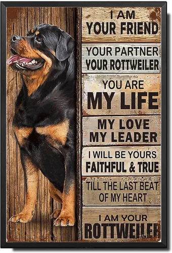 Miniatura 31 de Letrero de Metal Letrero de Hojalata Arte de Pared Vintage I Am Your Friend Regalo para Amantes de Schnauzer Arte de Pared Vintage Impresiones