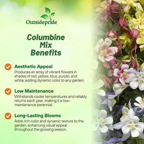 Miniatura 3 de Outsidepride Semillas de columbina mixtas, 1000 piezas de semillas de flores perennes, fáciles de cultivar para plantar, adecuadas para jardín apto