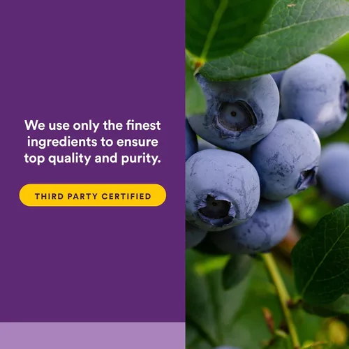 Miniatura 5 de BlueRich by Natural Factors, concentrado de arándanos súper fuerte, apoyo antioxidante para una buena salud general, 90 cápsulas blandas