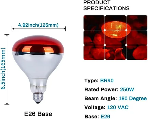 Miniatura 2 de Bombillas de Lámpara de Calor de 250 Vatios para Pollitos, Lámpara de Calor R40 de Incubadora para Pollos, Bombillas de Calor Reflectoras