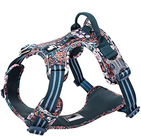 WINHYEPET True Love TLH56555 - Arnés para perro sin tirones, tela de algodón transpirable y reflectante suave, ajustable para correr y caminar,