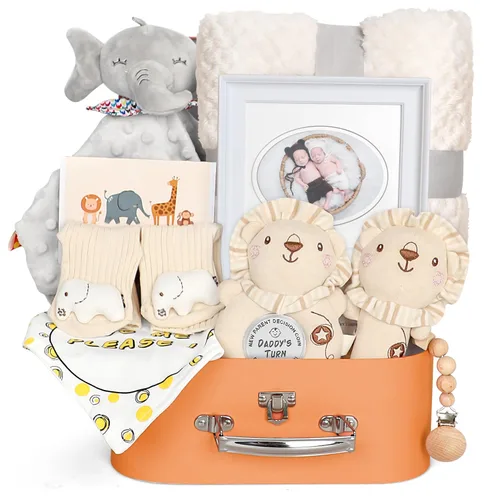 Regalos de baby shower para niños y niñas, cesta de regalos para bebés, manta para recién nacidos, juguetes de sonajero, clip de recuerdo, chupete,