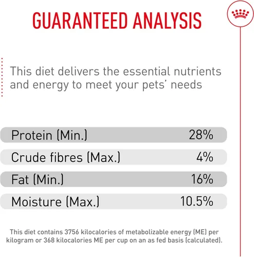 Miniatura 8 de Royal Canin Breed Health Nutrition Cavalier King Charles Spaniel - Alimento seco para cachorros, bolsa de 3 libras