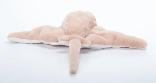 Miniatura 7 de The Petting Zoo Cownose Ray - Peluche de peluche, regalos para niños, animales salvajes del océano Onez, juguete de peluche de rayas de 15 pulgadas