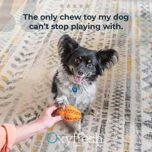 Miniatura 7 de Oxyfresh Juguete dental para masticar para perros, el mejor juguete de limpieza de dientes de perro, un simple juguete de mordida y cepillo que