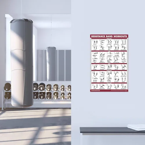 Miniatura 3 de Palace Learning QUICKFIT - Póster de ejercicios de entrenamiento con bandas de resistencia, doble cara (laminado, 18 x 24 pulgadas)