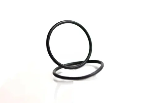 Quad Logic Juntas tóricas de goma negra para bomba de agua ATV (par) - Compatible con Polaris Sportsman Scrambler 570 850 1000 - Sustituye a 5412955
