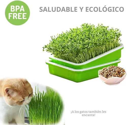 Miniatura 4 de SUNPRO Paquete de 2 bandejas para germinar semillas sin BPA, PP sin tierra, gran capacidad, contenedor de germinación de pasto de trigo saludable